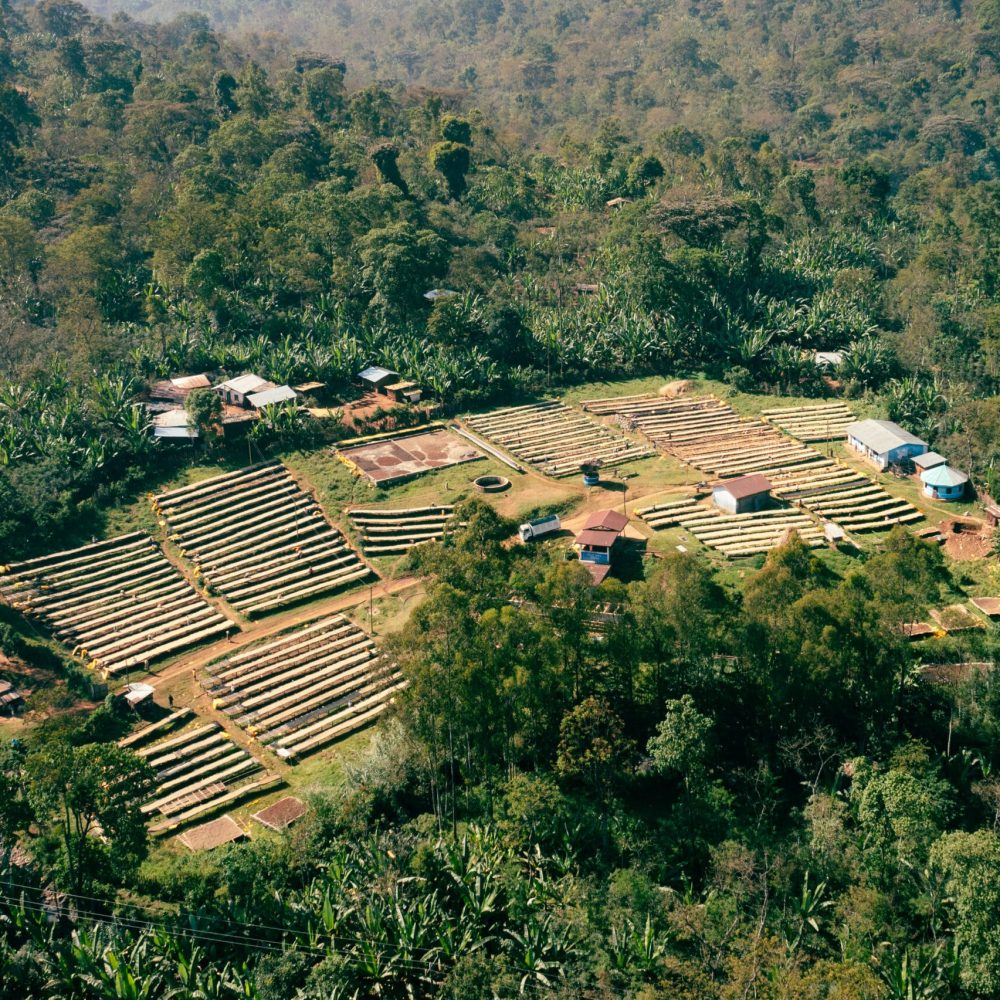 Ephtah Coffee Drone-10
