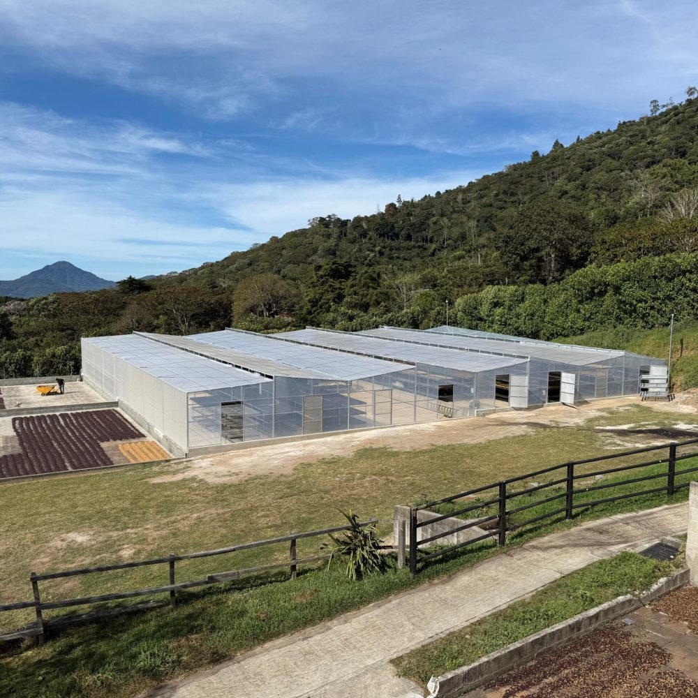 el salvador farm